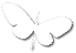 SCT Butterfly Logo